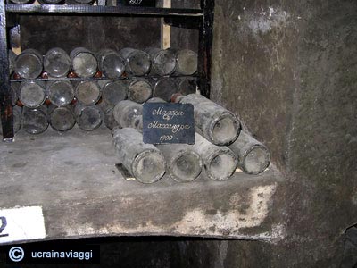 Vecchissime bottiglie di vino anno 1900